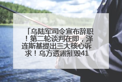 乌陆军司令宣布辞职！第二轮谈判在即，泽连斯基提出三大核心诉求！乌方透露摧毁41架俄战略轰炸机